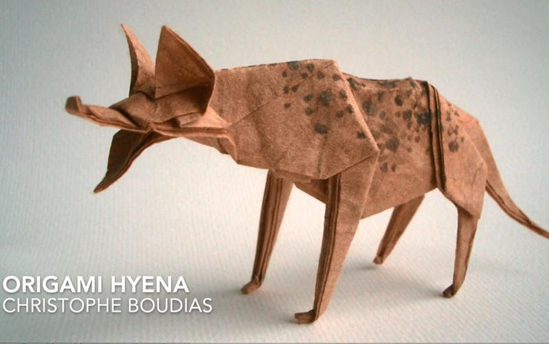 油管搬运折纸origami鬣狗hyenabychristopheboudias