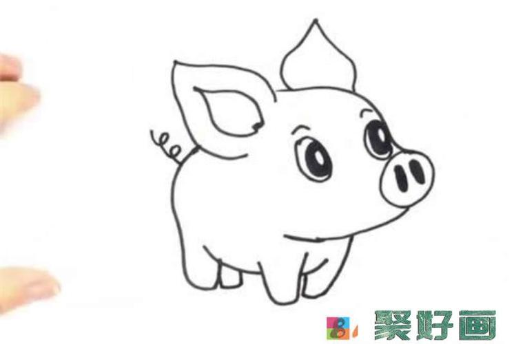 可爱小猪简笔画步骤图解教程怎么画简笔画教程