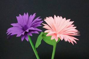 很漂亮的菊花朵幼儿园老师赶紧学一下教小朋友简单手工折纸