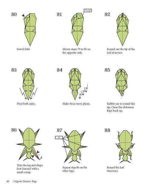 折纸教程昆虫合集origamimastersbugs上卷