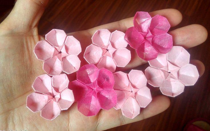 折纸教程别人都在折樱花咱们来折朵梅花吧