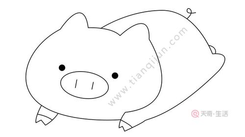 猪年卡通贺岁猪简笔画