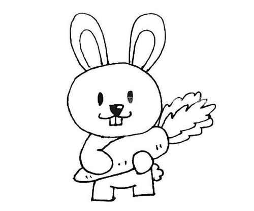 爱胡萝卜的小兔子简笔画步骤教程