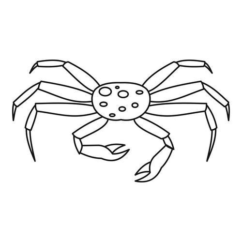 意大利蟹蛛简笔画