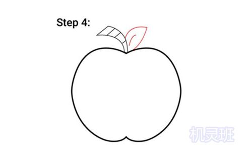 怎么一步一步教儿童画苹果简笔画步骤图解
