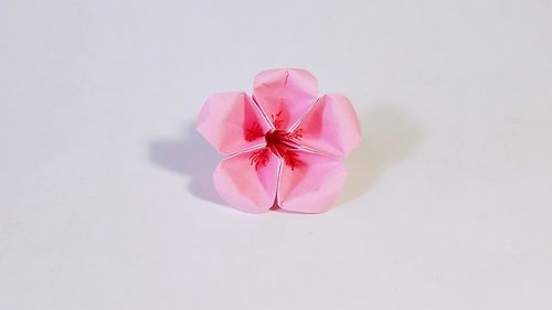 教你折纸桃花简单漂亮形象一学就会