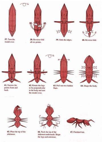 蚂蚁折纸怎么折jlanga蚂蚁折纸图文教程