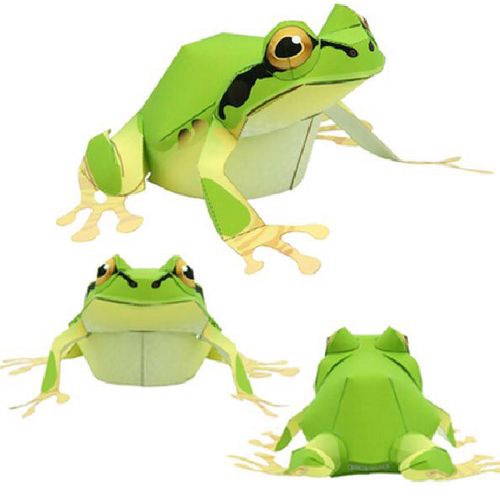 儿童手工折纸diy拼装立体3d纸质模型 雨蛙 青蛙 树蛙 3d纸模玩具