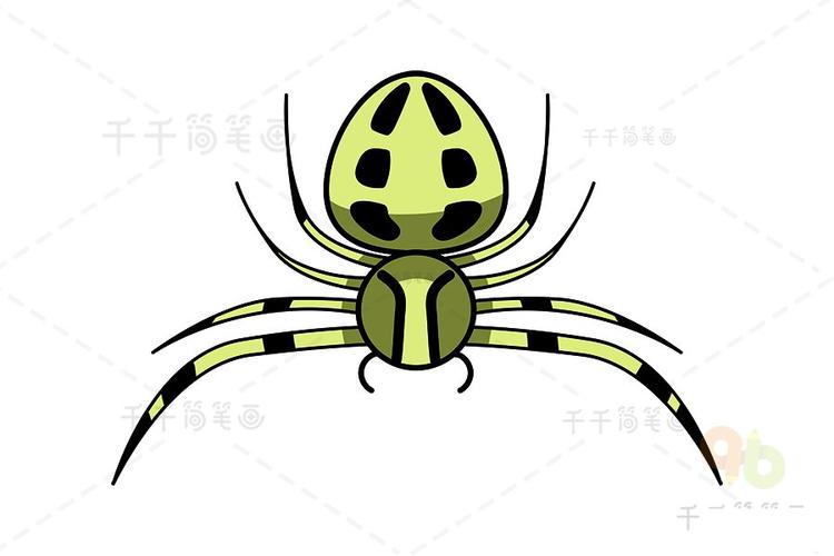 秋麒麟蟹蛛简笔画 秋麒麟蟹蛛的身体只能改变成白色和黄色但这种蜘蛛