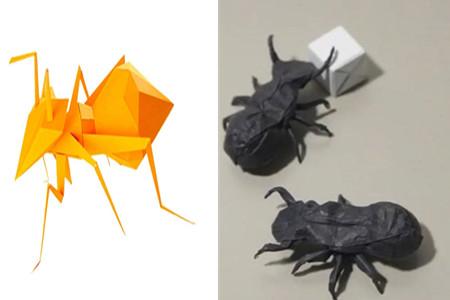 图折纸蚂蚁的好处 你真的知道吗