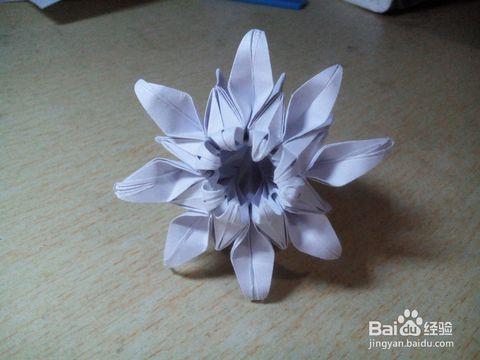 折纸白色菊花