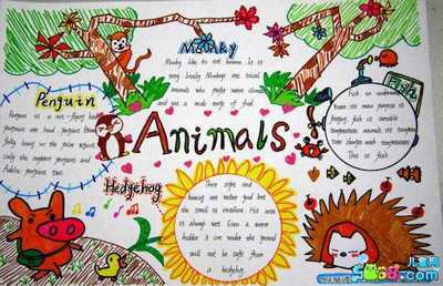 动物和植物英语手抄报 动物英语手抄报