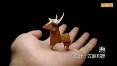 幼儿折纸视频 小鹿折纸教学