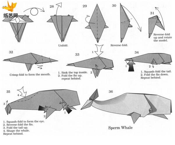 礁石上的海豹折纸图解与方法教程