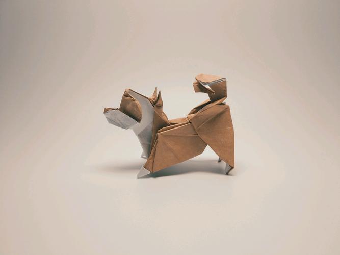 折纸柴犬