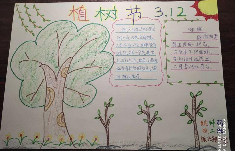 3月12日 植树节手抄报优秀作品展 四年级二班