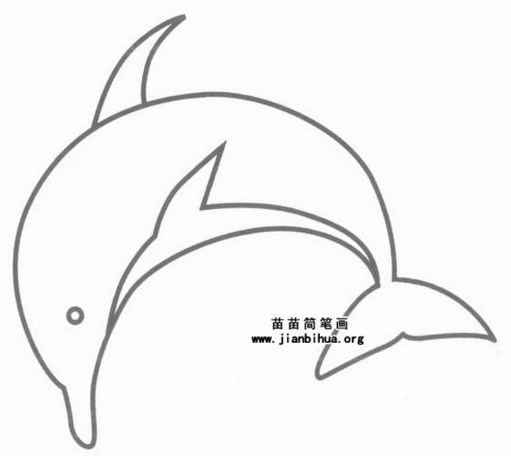 海豚简笔画画法图解