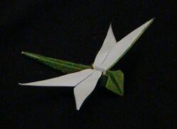 小蜻蜓的折纸图解 手工折纸大全-80作文吧文学网