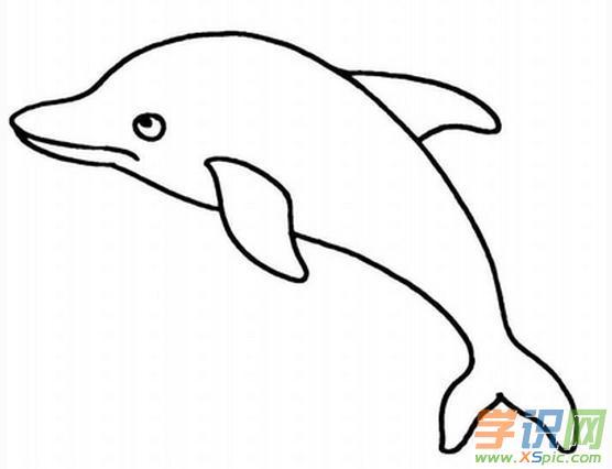 海豚儿童画的图画简笔画