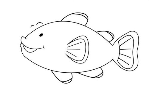 可爱的小丑鱼简笔画步骤图