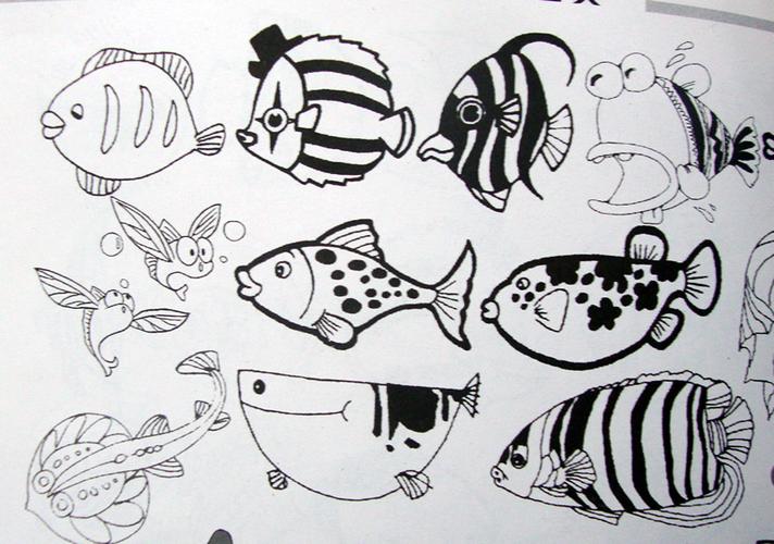 鱼的多种画法图儿童简笔画