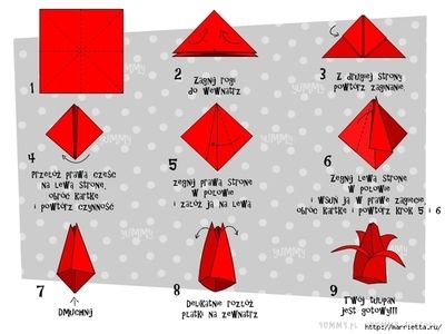 折纸郁金香步骤图