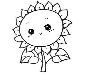 关于向日葵的简笔画绘画步骤