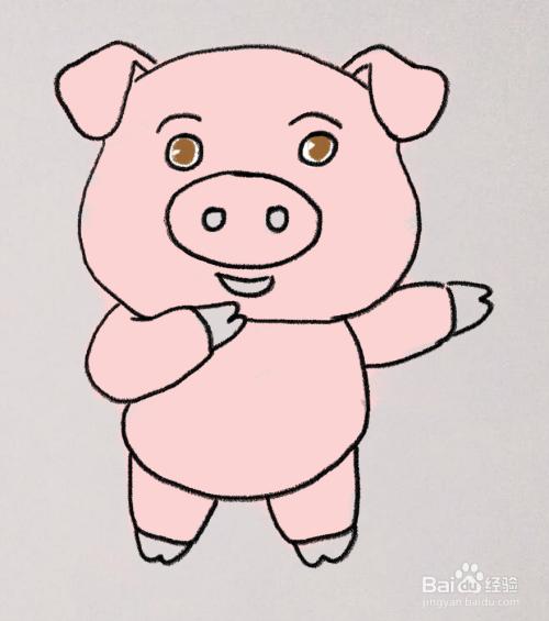 小猪简笔画图片 可爱
