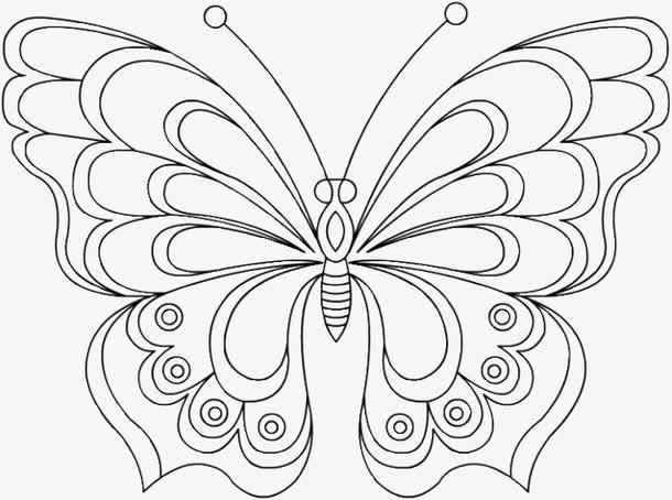 蝴蝶直播触角对称线稿简笔画