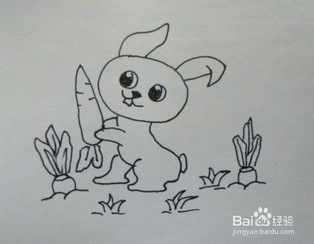 儿童简笔画一步一步教你怎么画收萝卜的小白兔