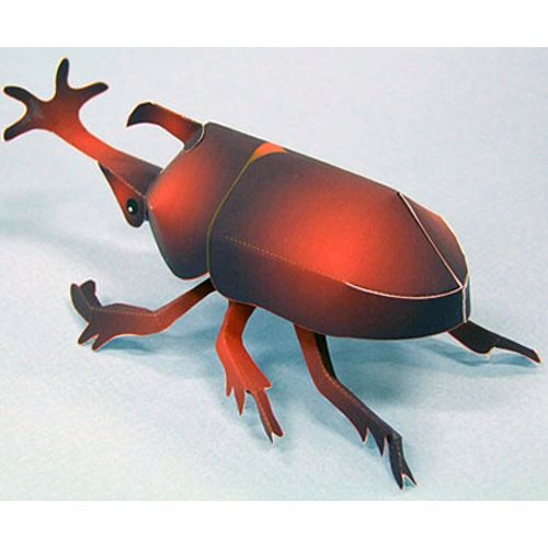 儿童手工折纸diy拼装立体3d纸模型  仿真昆虫甲虫甲壳虫 纸模制作
