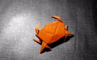 折纸-教程开学了想横着走来先折只螃蟹
