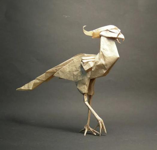 折纸科普图解系列它是非洲最美的猛禽美丽的外表下却是