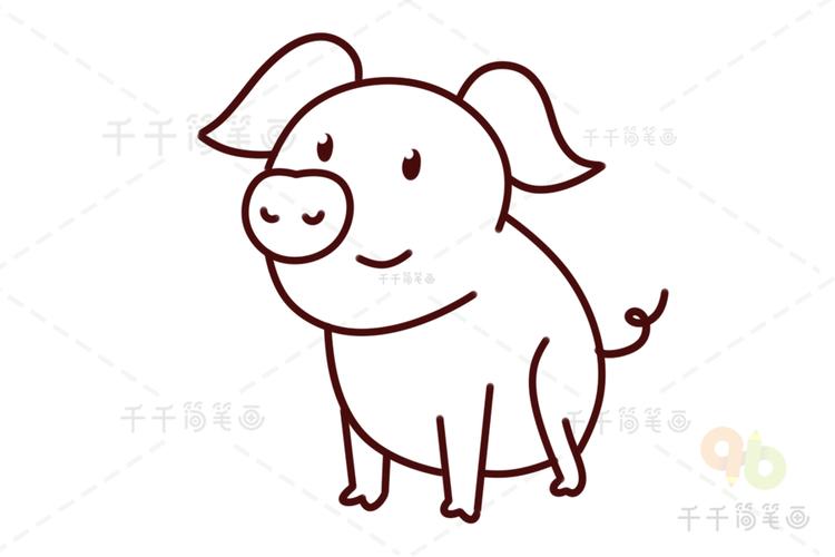 猪简笔画儿童绘画猪简笔画