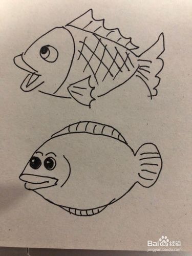 各种鱼的简笔画