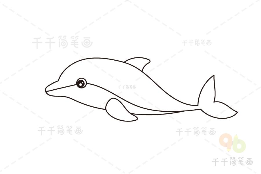 素描海豚简笔画步骤图