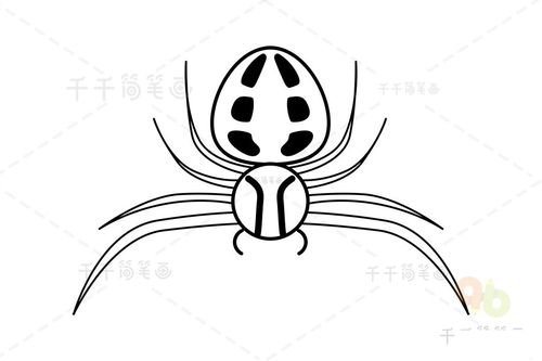 秋麒麟蟹蛛简笔画 秋麒麟蟹蛛的身体只能改变成白色和黄色但这种蜘蛛