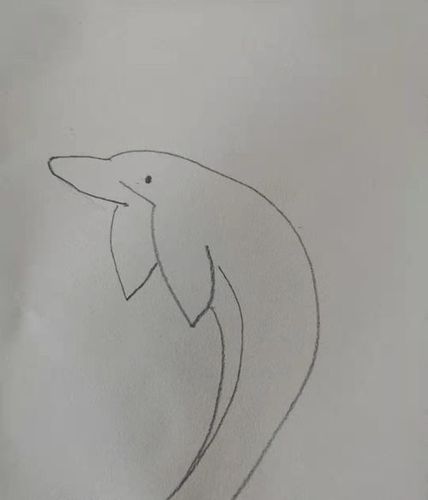 如何画海豚简笔画