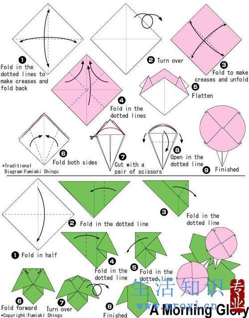 大全图解教程神谷哲史折纸狮子折纸图纸教程折纸图谱教你简易日式折纸