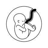 怀孕过程胎儿图简笔画
