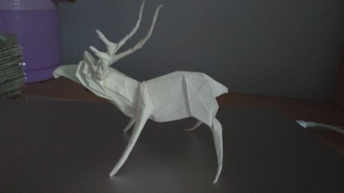 折纸75步鹿