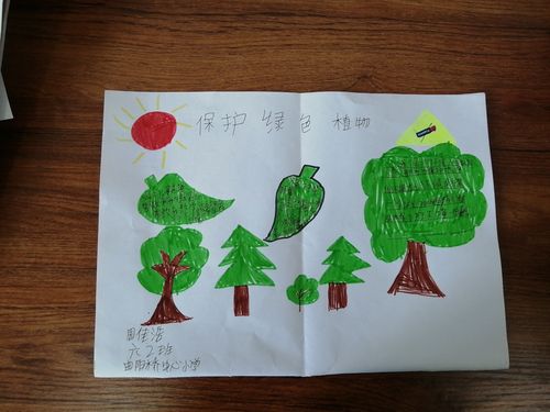 曲阳桥小学六年级二班绿色森林手抄报