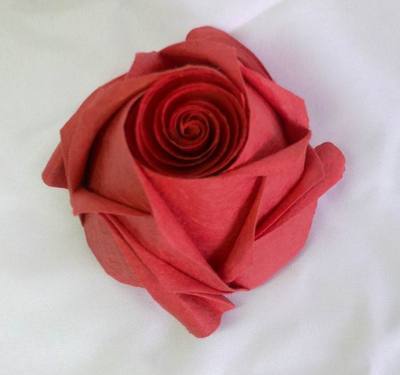 五十种玫瑰花折纸教程