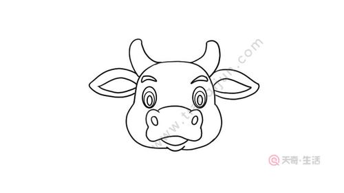 牛头的简笔画 牛头的简笔画 简单