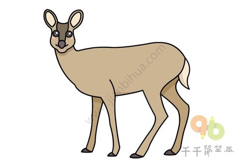 动物简笔画 教你画 獐简笔画 今天给小朋友介绍一个鹿科动物獐獐四肢