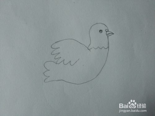 简笔画怎么画鸽子
