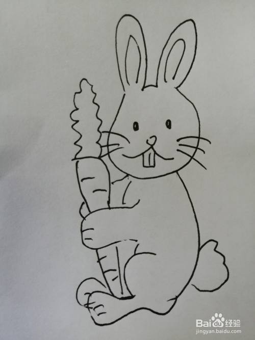 简笔画爱吃胡萝卜的小兔子就画好了.
