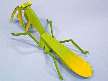 diy手工益智剪纸折纸儿童玩具 仿真昆虫 螳螂 3d立体拼装纸模型