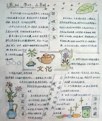 茶文化手抄报一等奖模板教程中国茶文化手抄报第一名创意画法茶文化手