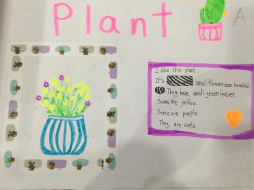 手抄报首页 手抄报模板 三年级英语手抄报关于植物  plants and
